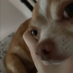 Meet your Posher, Samaiyah